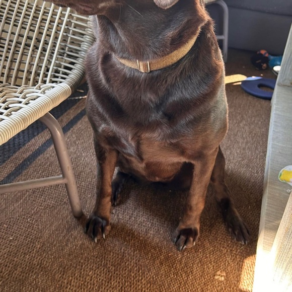 Meet your Posher, Regina - Picture 6 of 13